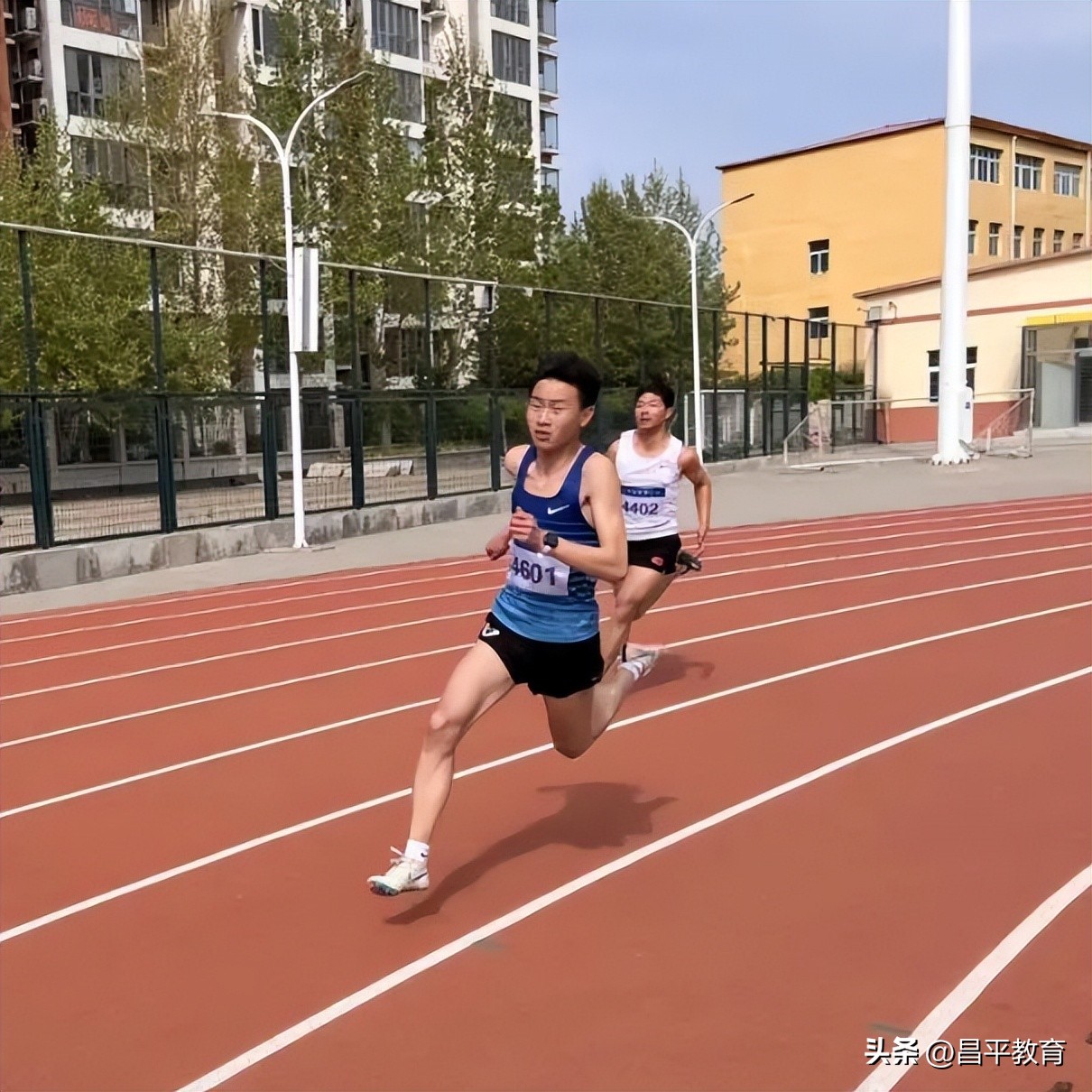 校园竞技,体育竞技青春校园