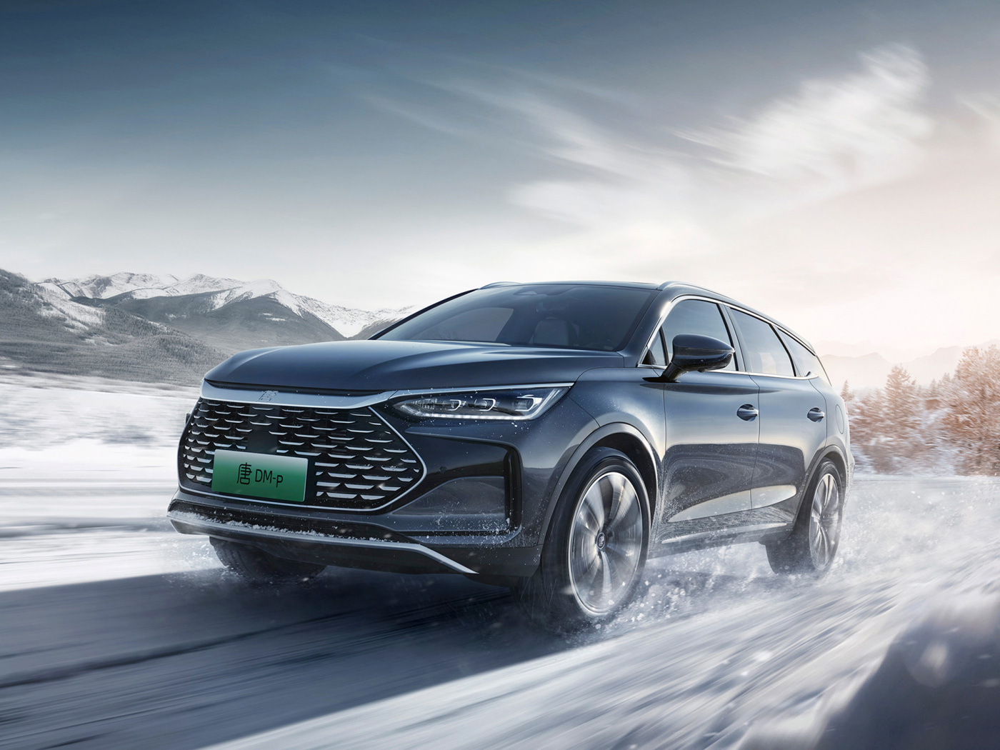 唐dmp顶配车主采访,唐dmp选车