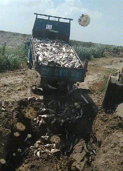 “车间女孩约我去她宿舍玩，这时候应该干点什么？”哈哈哈