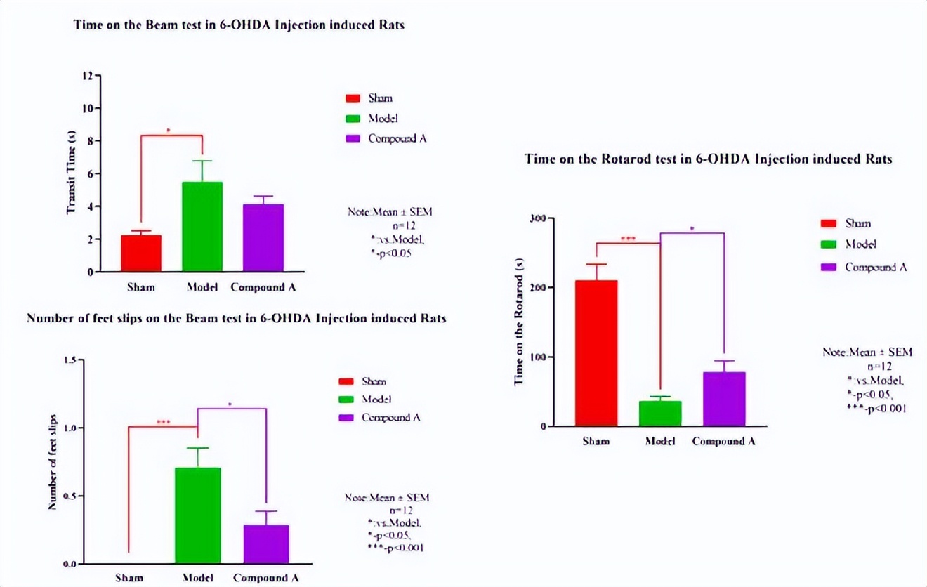 6-OHDA诱导大鼠模型|动物模型构建|大鼠模型构建服务
