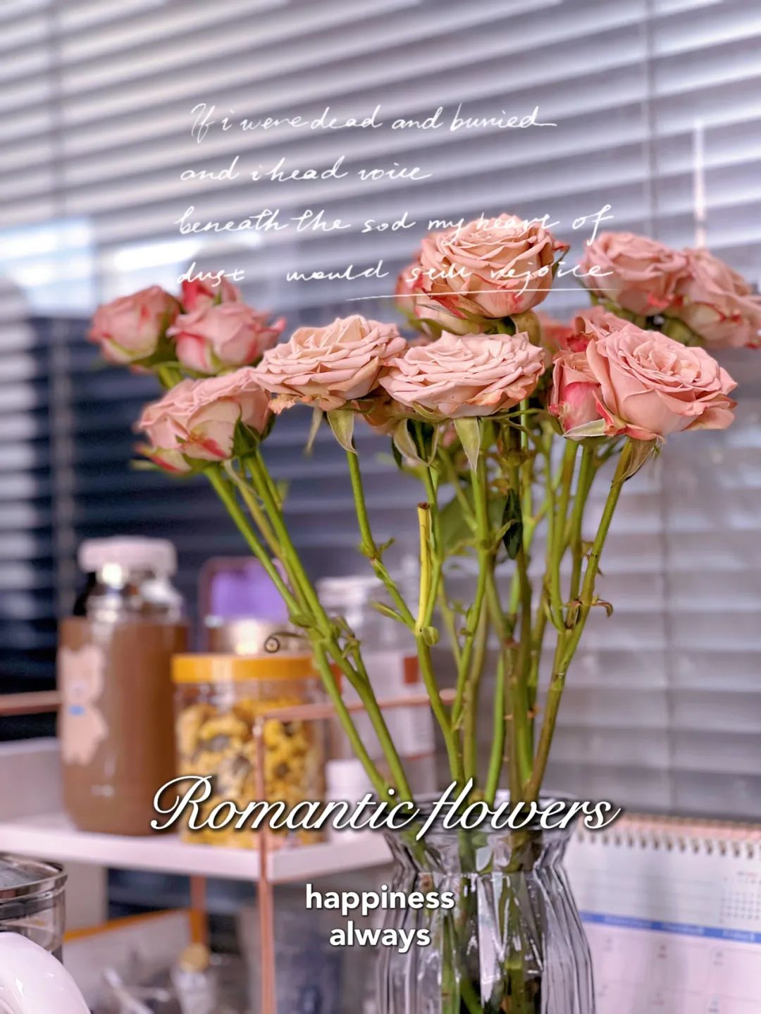 你觉得对婆婆的恨到了什么程度,媳妇一直记恨婆婆怎么办