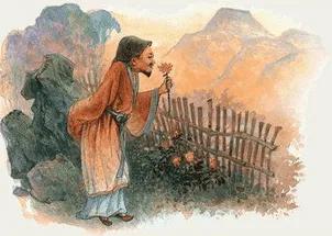 我喜欢的一首诗结尾,我喜欢的一首诗