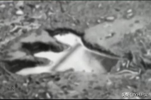 山村十大诡异怪事件,四川大山发现的怪物