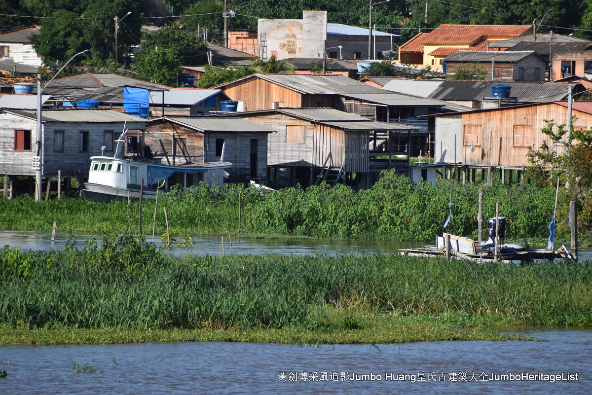 第5047回：消失的亚马逊文明，流失的林下聚居地