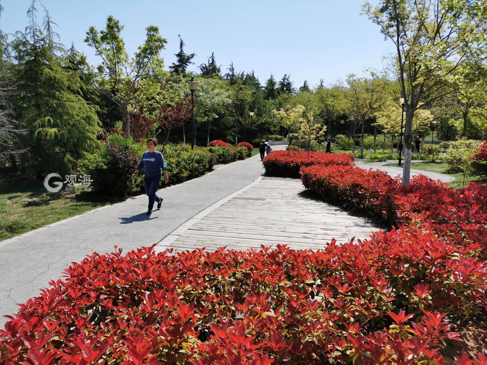 双山公园有什么好玩的,双山公园海宁