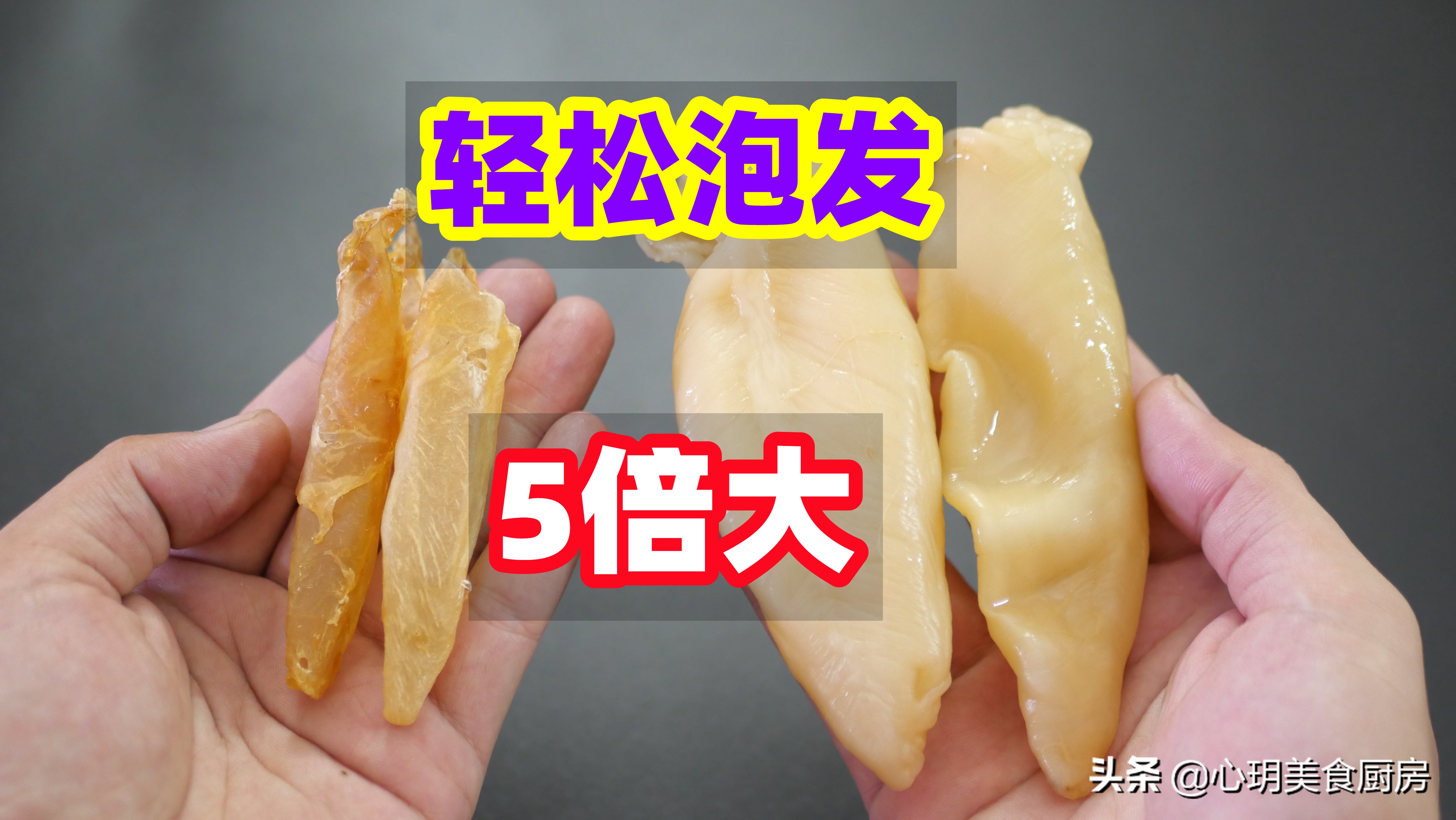 泡发的花胶有什么做法,如何正确泡发花胶