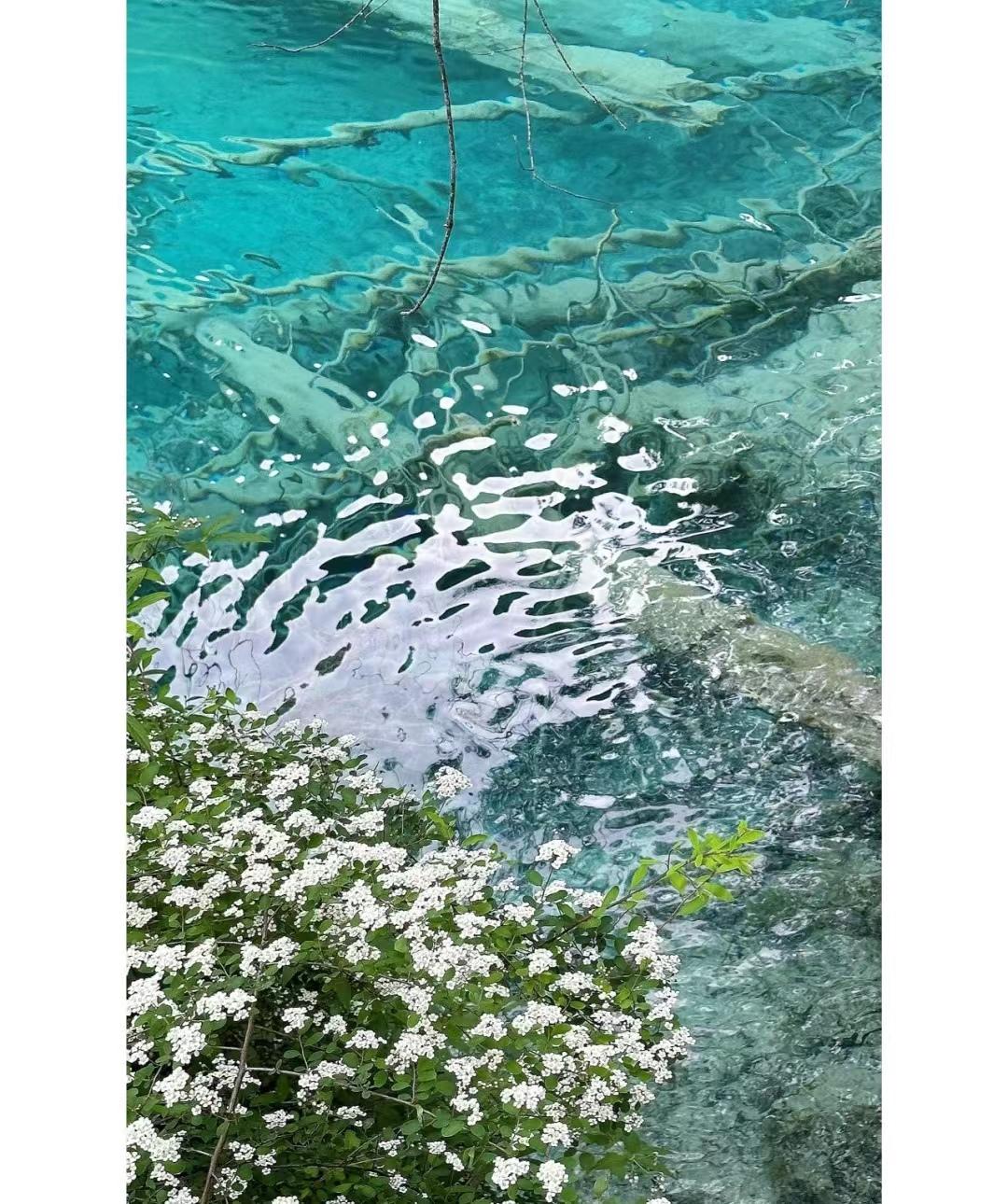 去四川旅游的真实感受,为什么去四川旅游最好