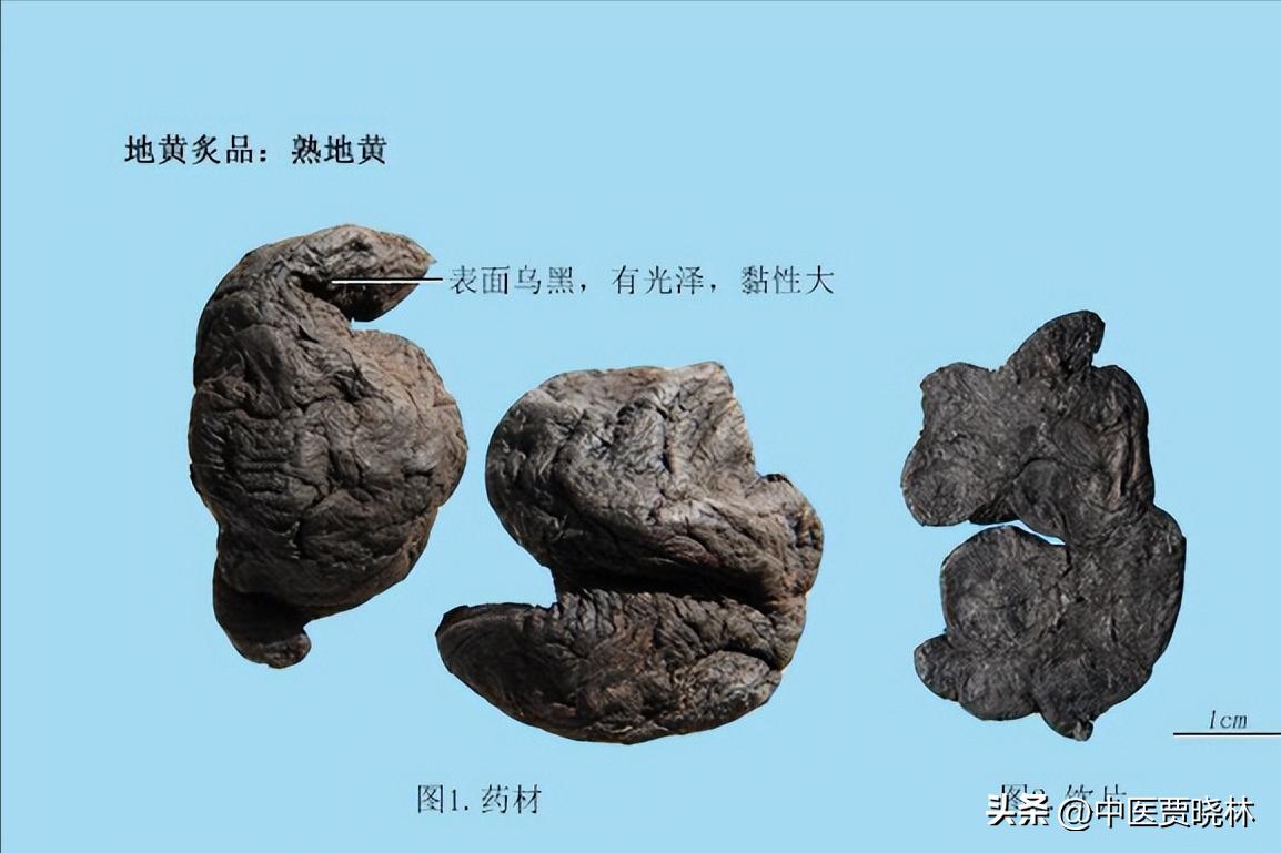 养肾等于养命最全养肾食物大全,养肾护肾的十个方法