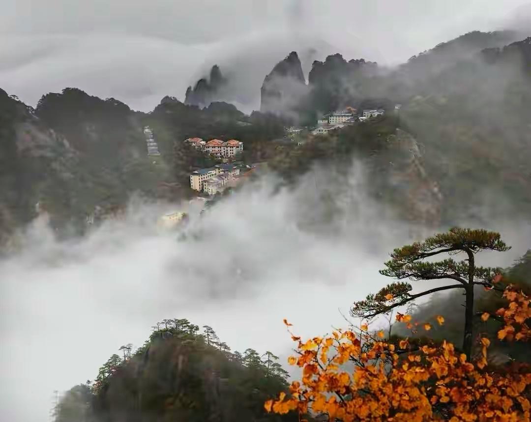 黄山日进山游客人数,黄山风景区一天游客多少人上山