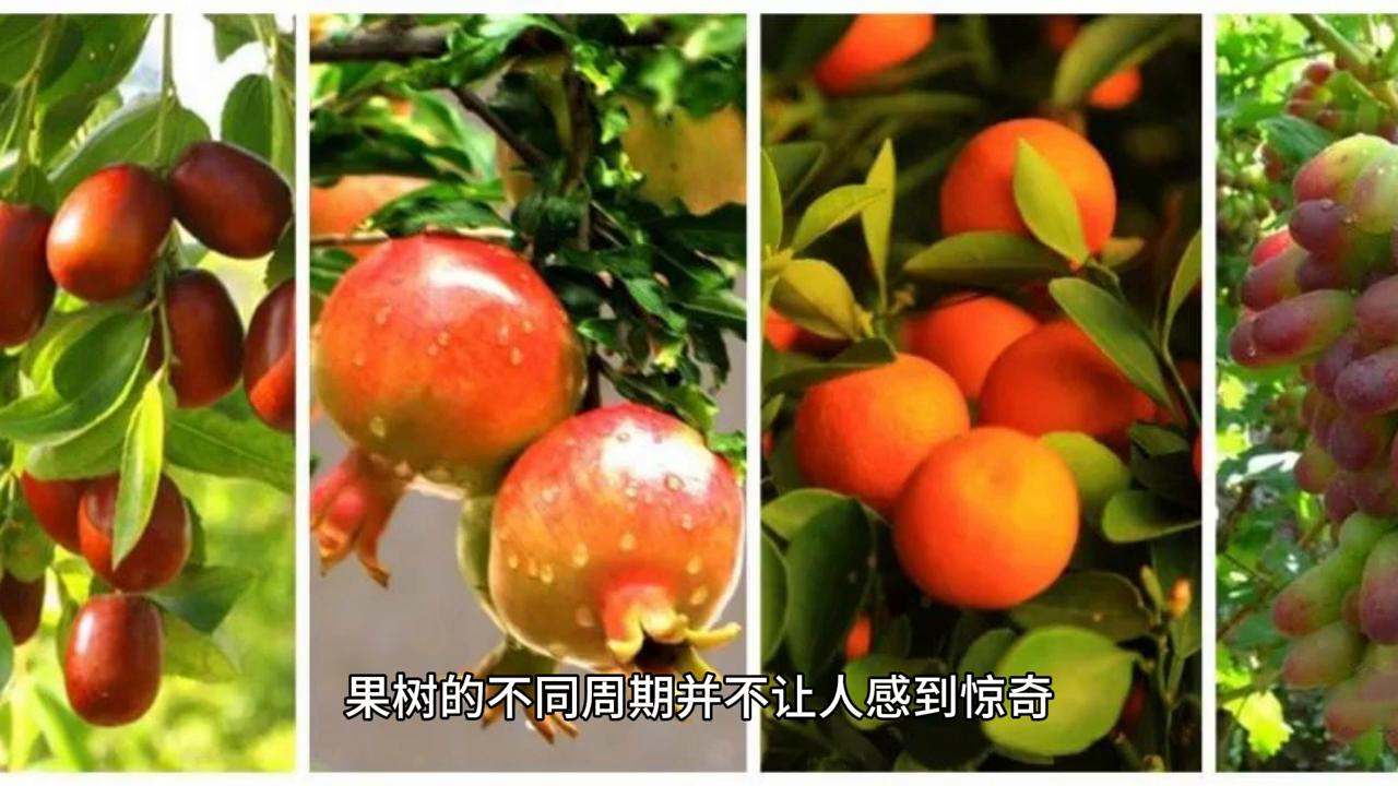 让自己的认知觉醒,认知的觉醒靠自己