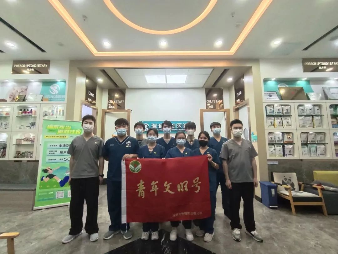 高光时刻！福田这些集体受表彰，有你知道的吗？