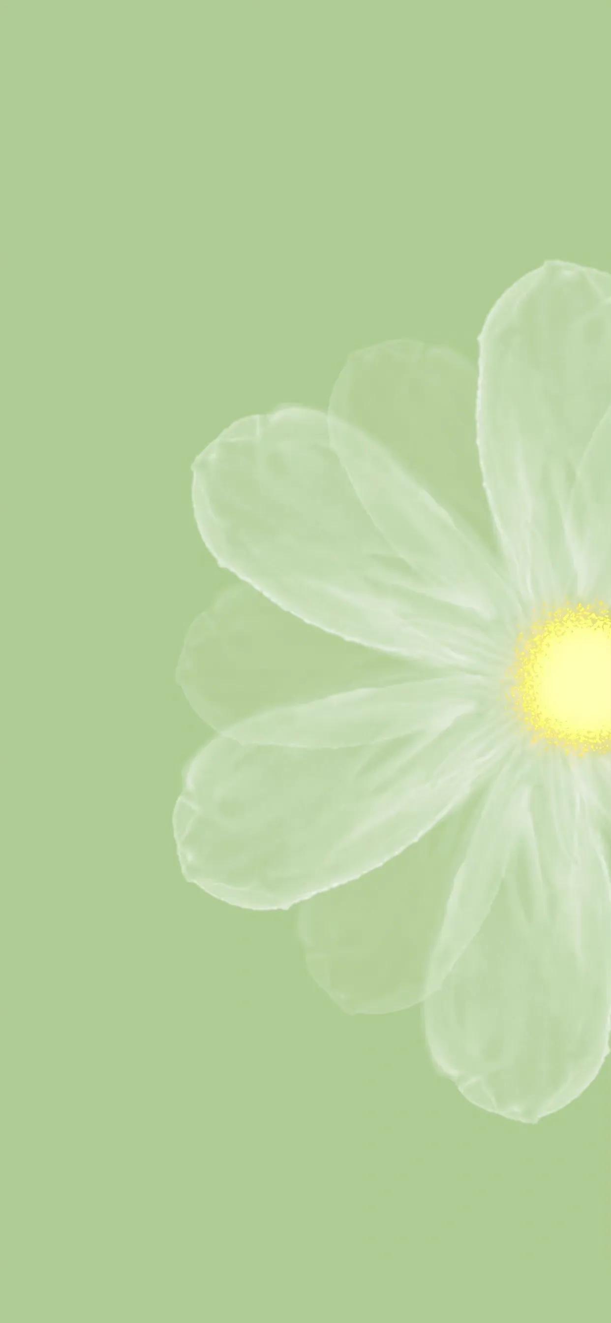 手机壁纸ins风夏日黑白,手机壁纸小清新绿色柠檬