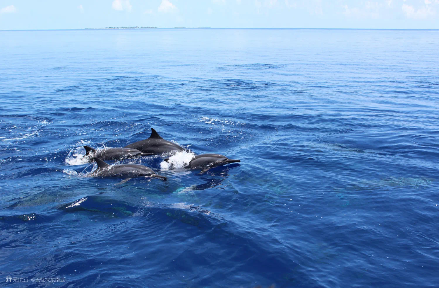 做好哪些攻略才能去马尔代夫,第一次去马尔代夫选哪个岛屿好