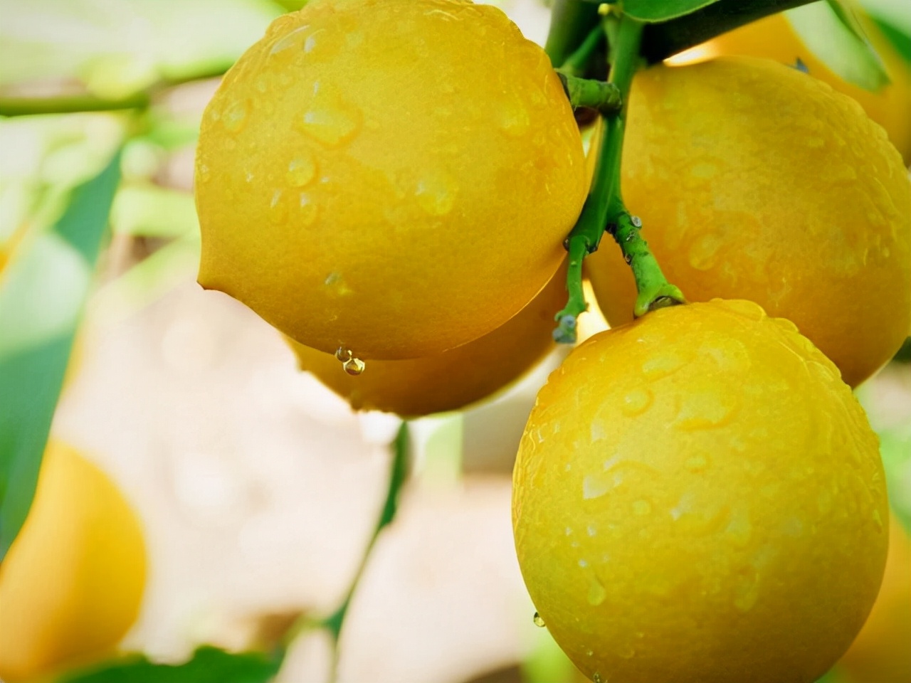 起床后，为何会有口臭呢？医生：教你5个小妙招或许会有效果