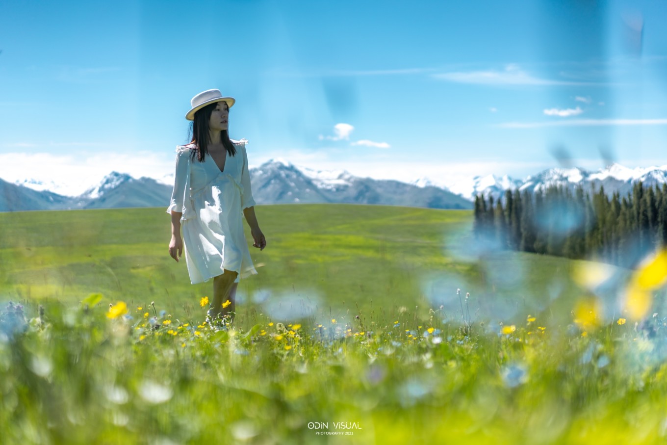 新疆伊犁之美,走了一圈才发现世界万物远不及你