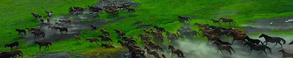 美国维护美元霸权地位,美国会放弃美元霸权吗