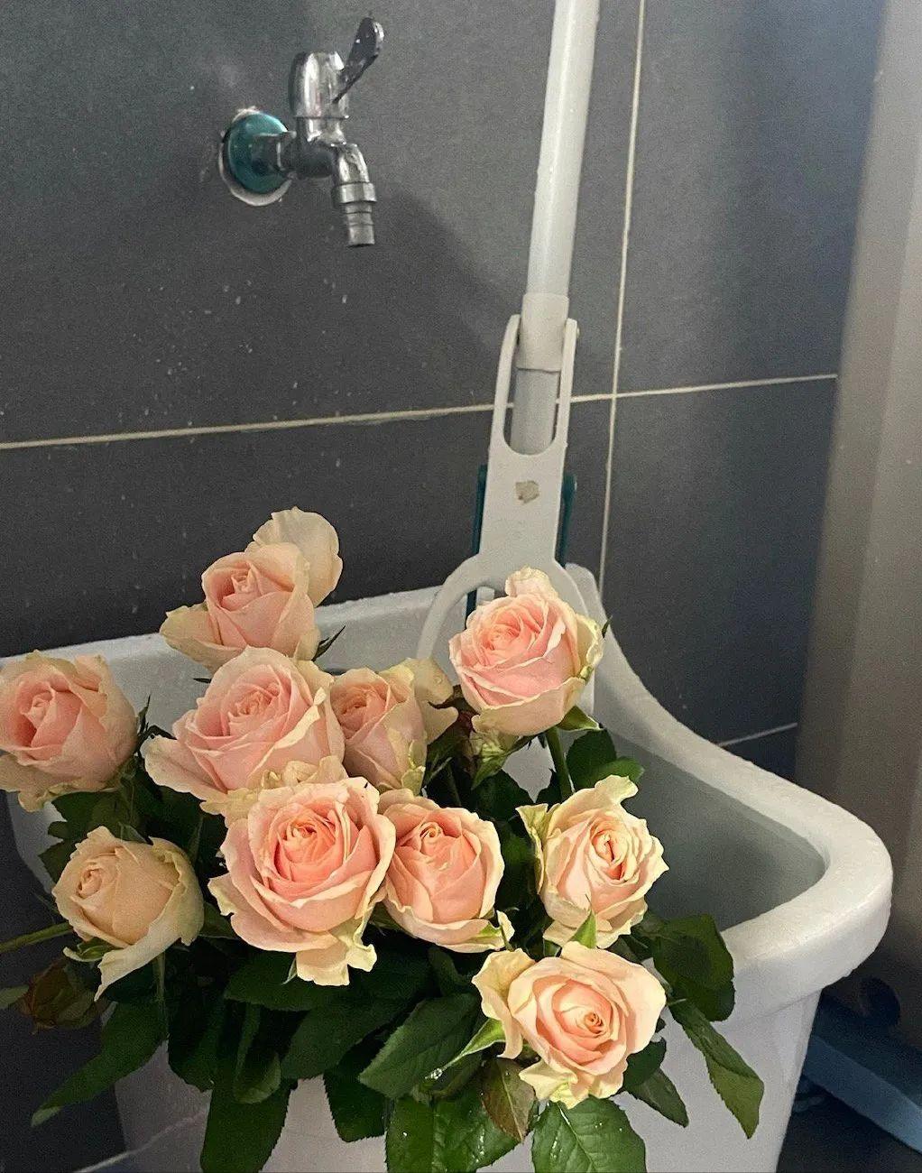 家里拖把池实用吗,家里有拖把池用什么拖把