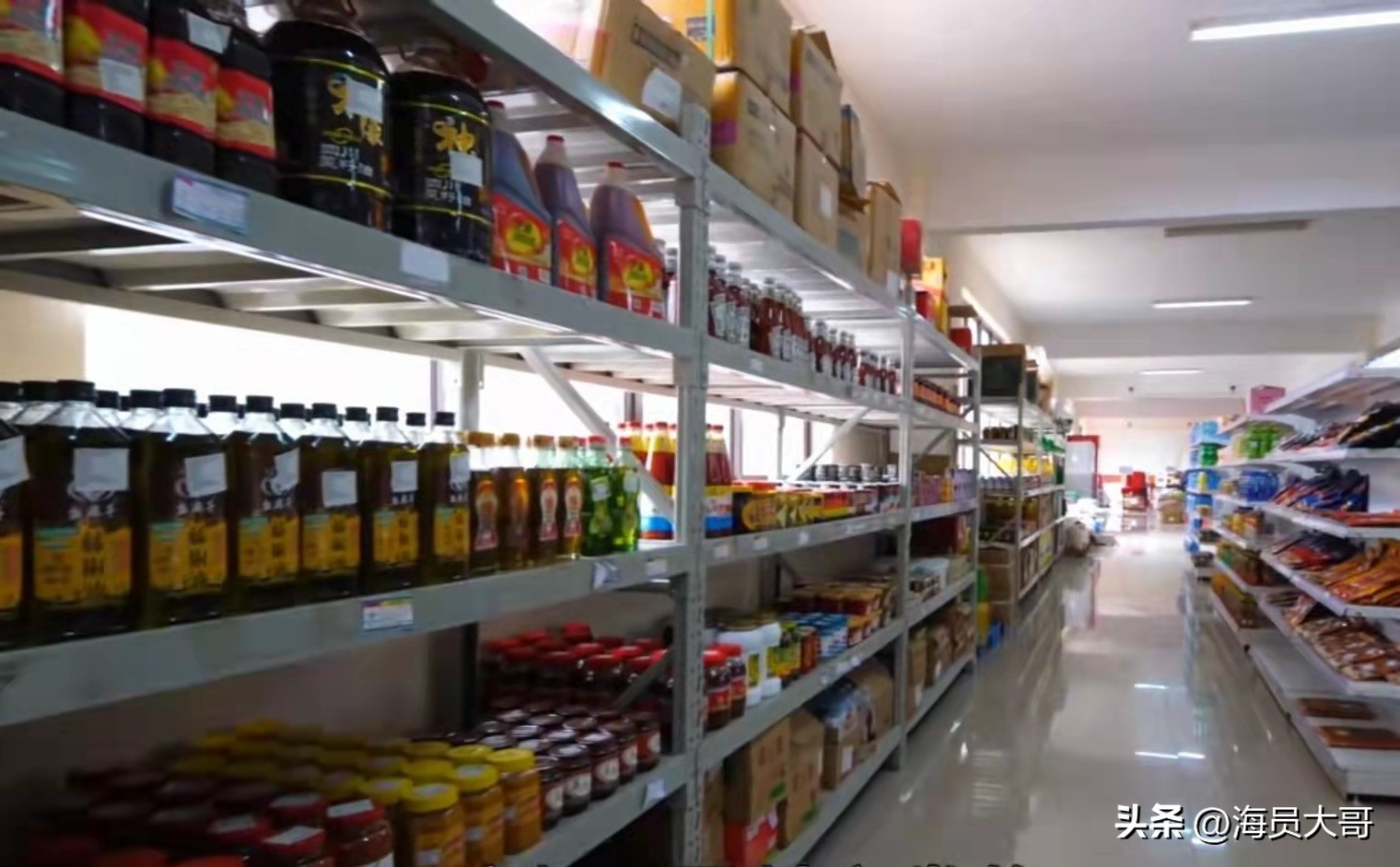 第15章：船终于回国，船员下地目的明确，而我却有大发现