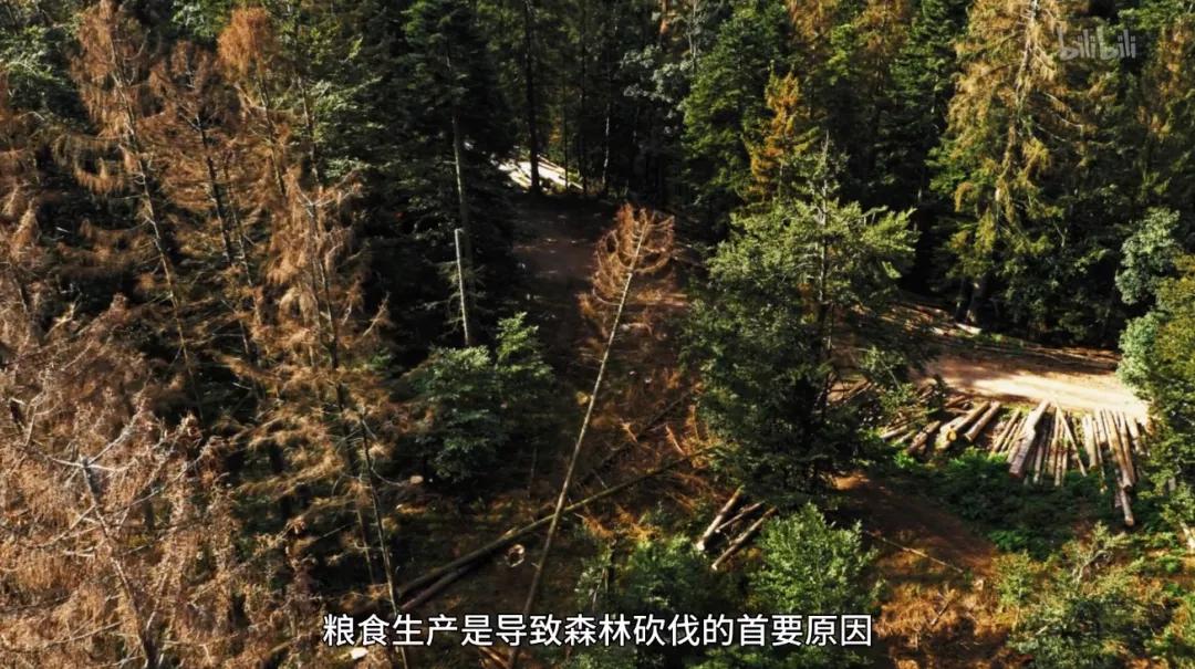 满分推荐！这部颠覆三观的良心之作，绝不该只有300人看过