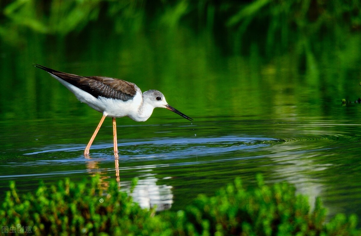 光圈调整技巧,摄影中光圈大小怎么选择