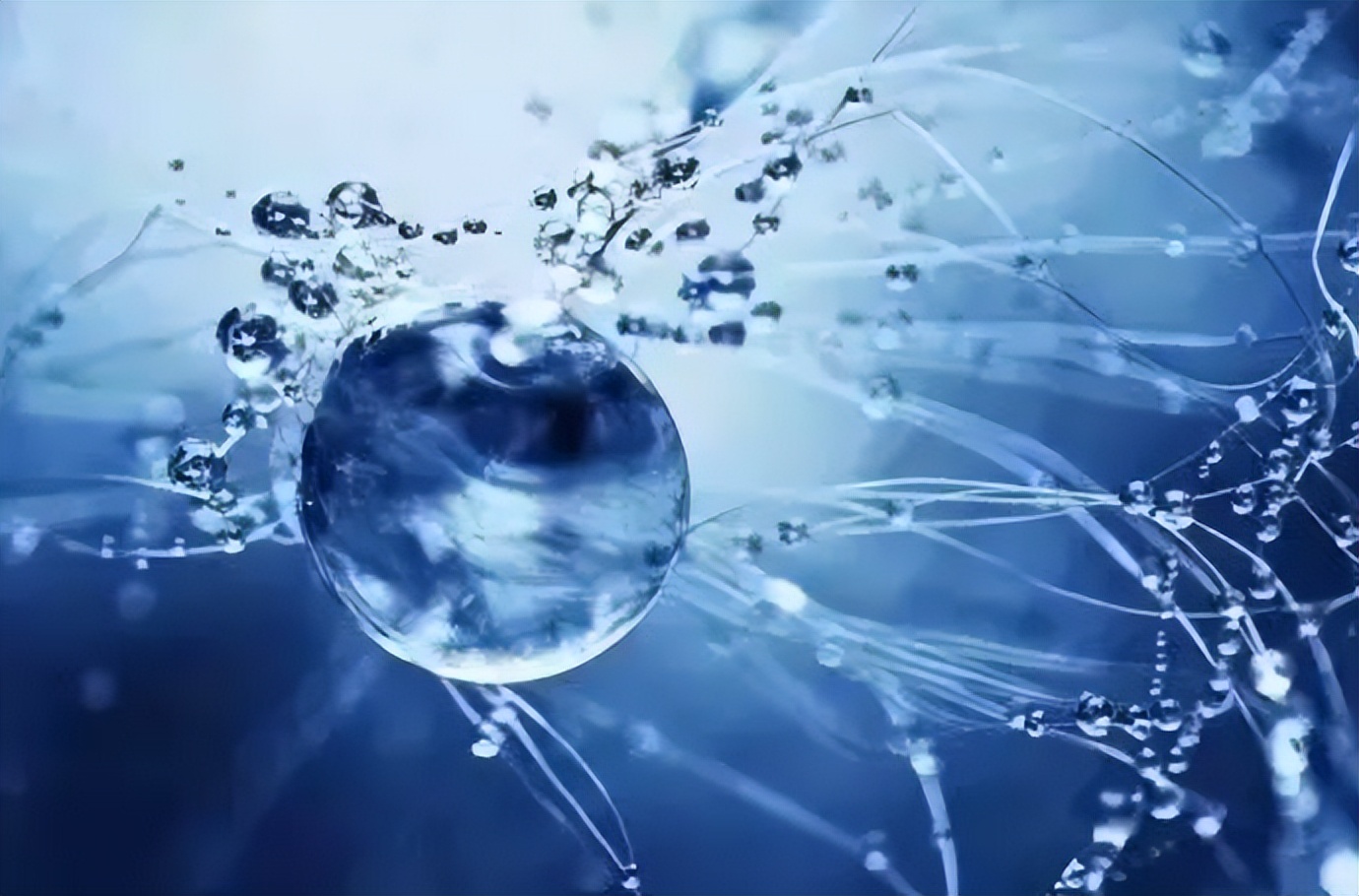 山东女首富赵燕个人资料,女富豪赵燕排名多少