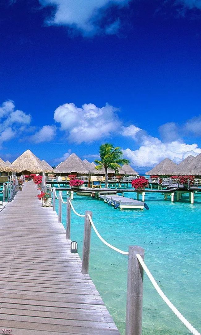 太美了100张人间美照,太美了最美中国红