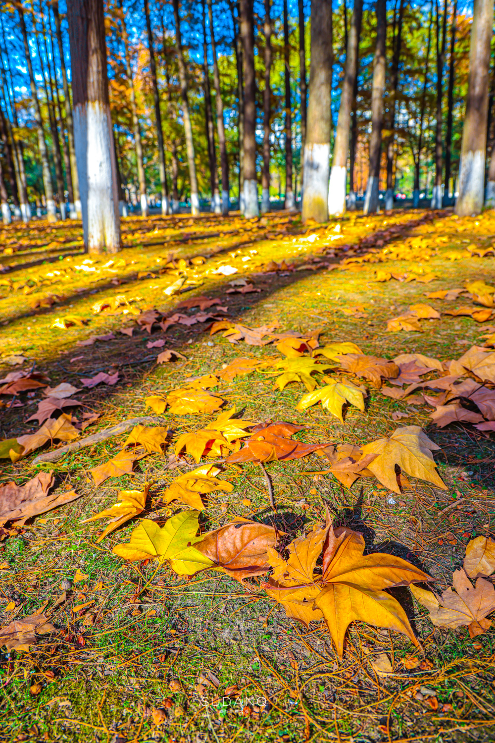大自然塑造了我,大自然塑造者