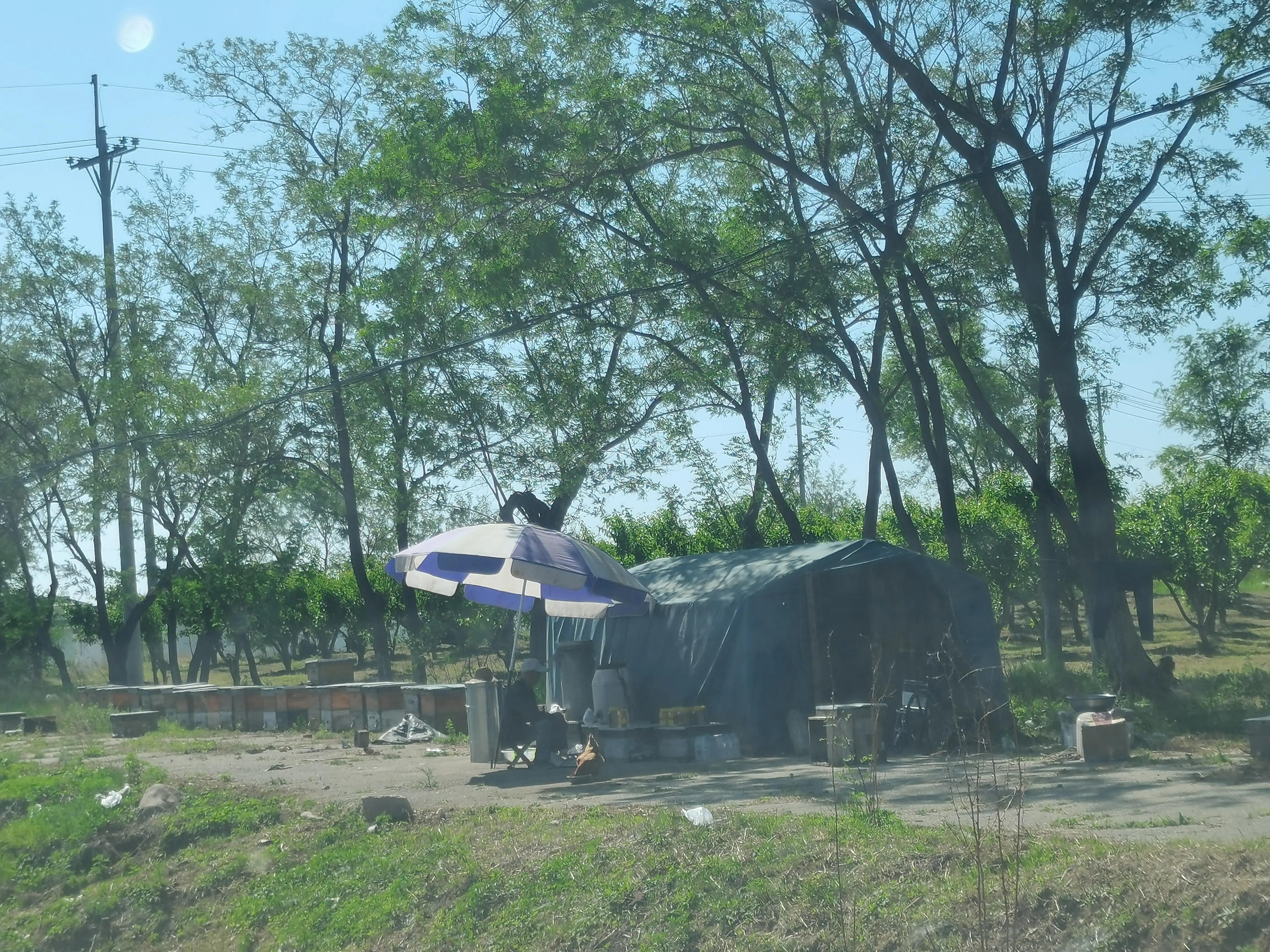 小蜜蜂和养蜂人怎么画,小蜜蜂和养蜂人宝典哪个好