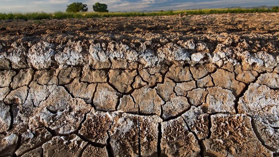 淡水会加剧土地盐碱化吗,淡水能导致盐碱化吗