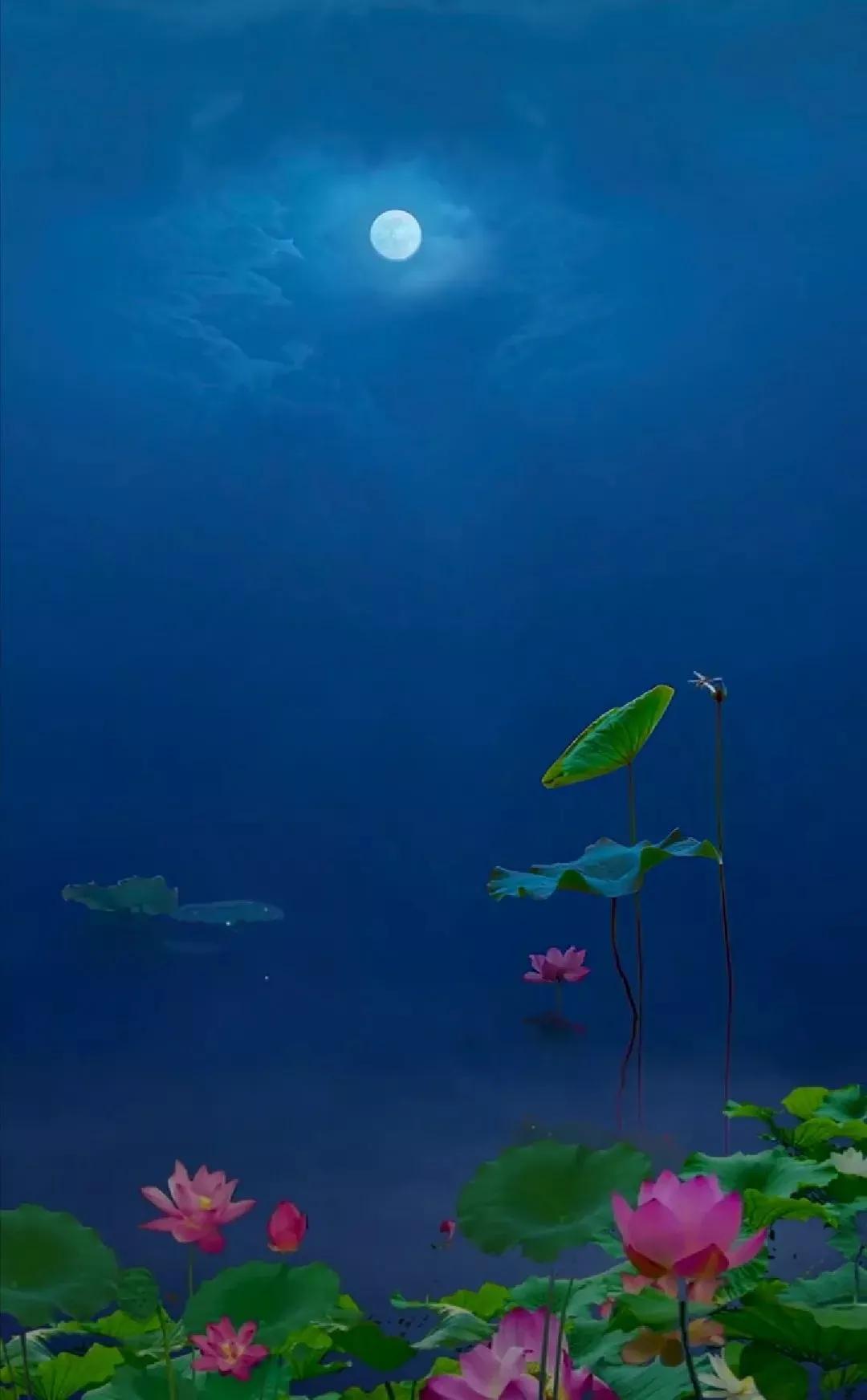 怎样才能不为情所困啊,不被情所困的方法