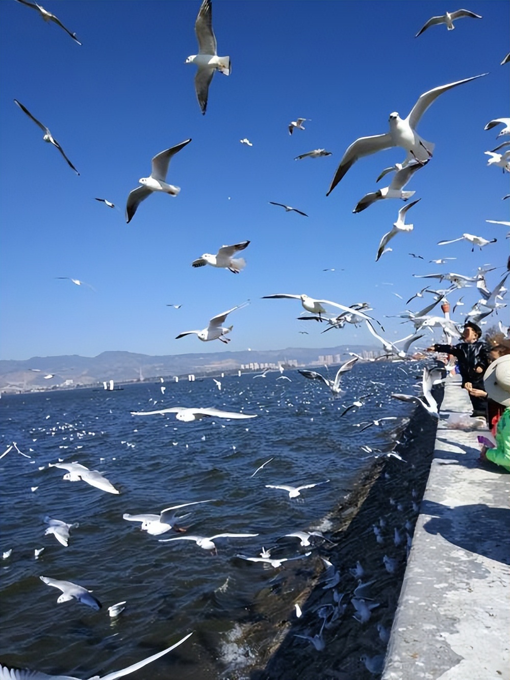 熬夜整理云南旅游攻略,第一次去云南旅游的感受分享