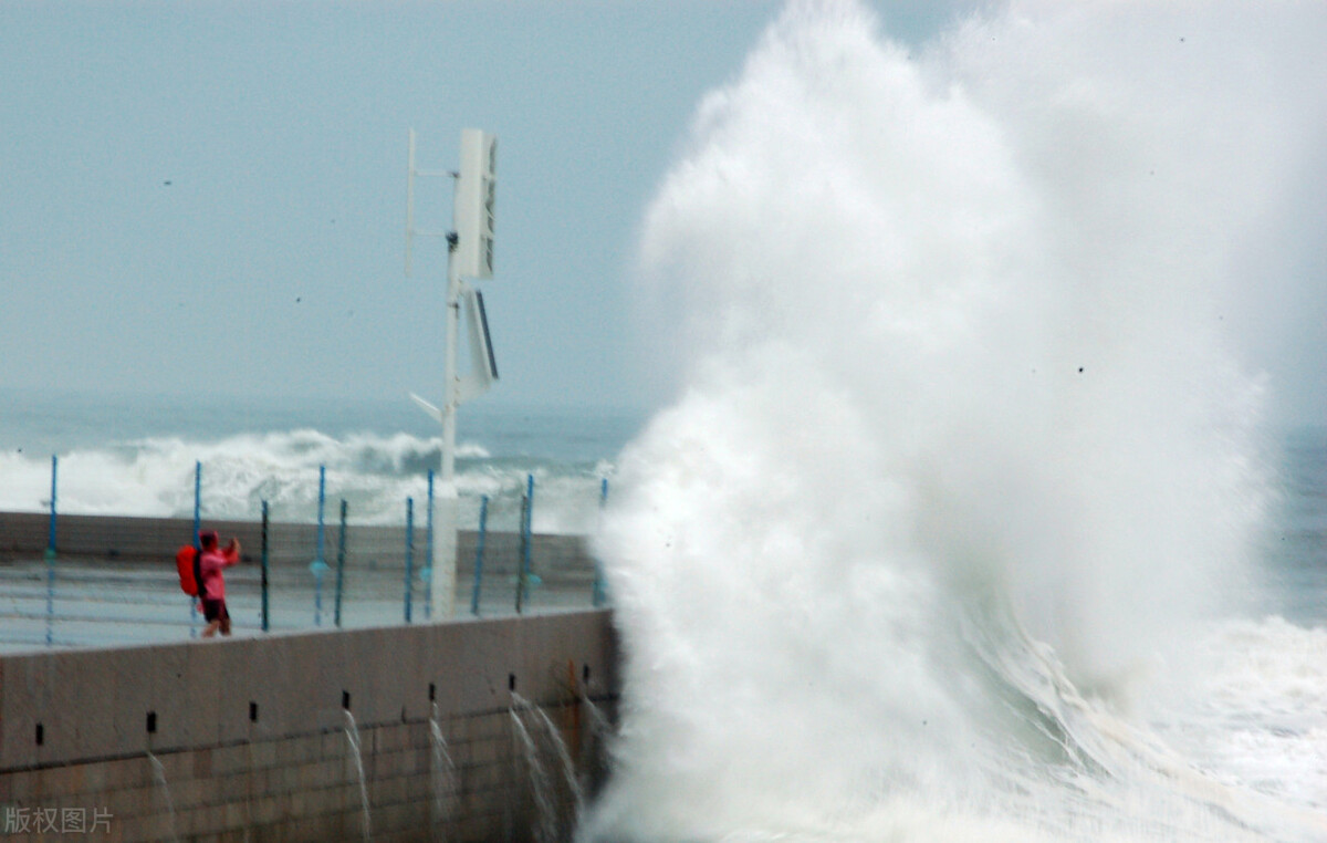 台风梅花来了作文,台风梅花上学