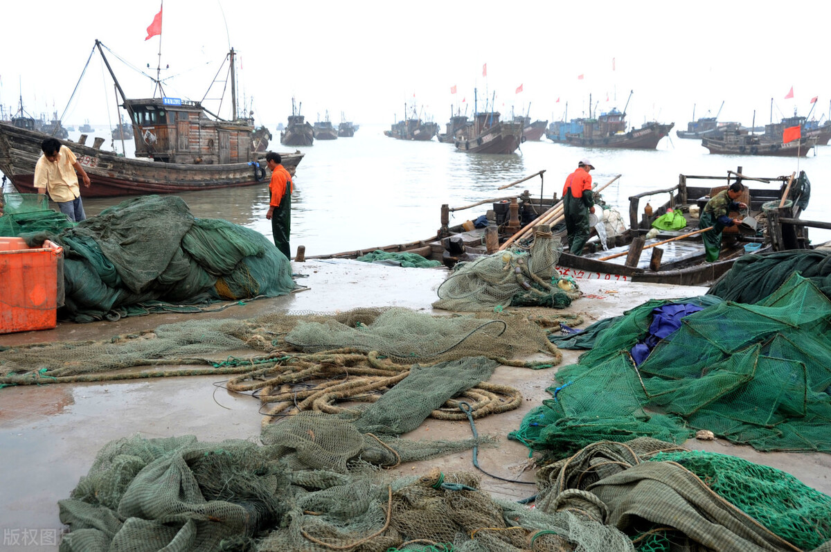 禁渔期过后梭子蟹价格,休渔期为什么还会有梭子蟹