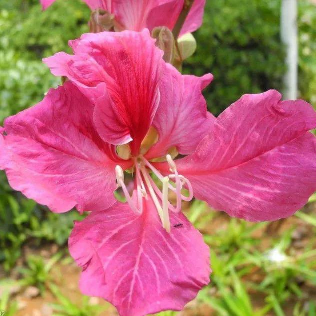 生意合作伙伴不积极怎么办,生意合作伙伴出现问题咋办