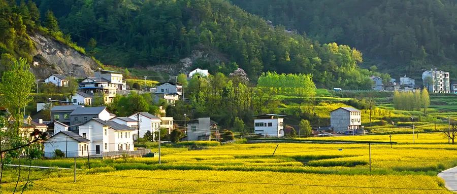 农业三产融合什么意思,农村三产融合与农业产业化的区别