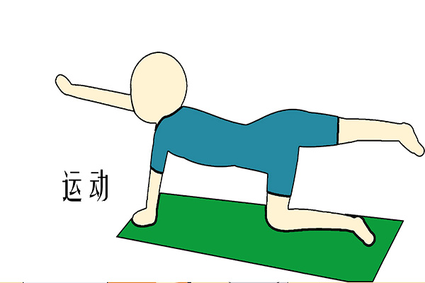 运动胰岛素抵抗国外研究进展,糖尿病运动有助胰岛素抵抗