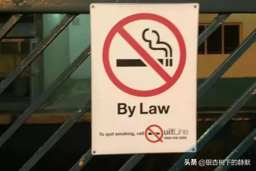 新加坡华人童年回忆,新加坡历史回忆录