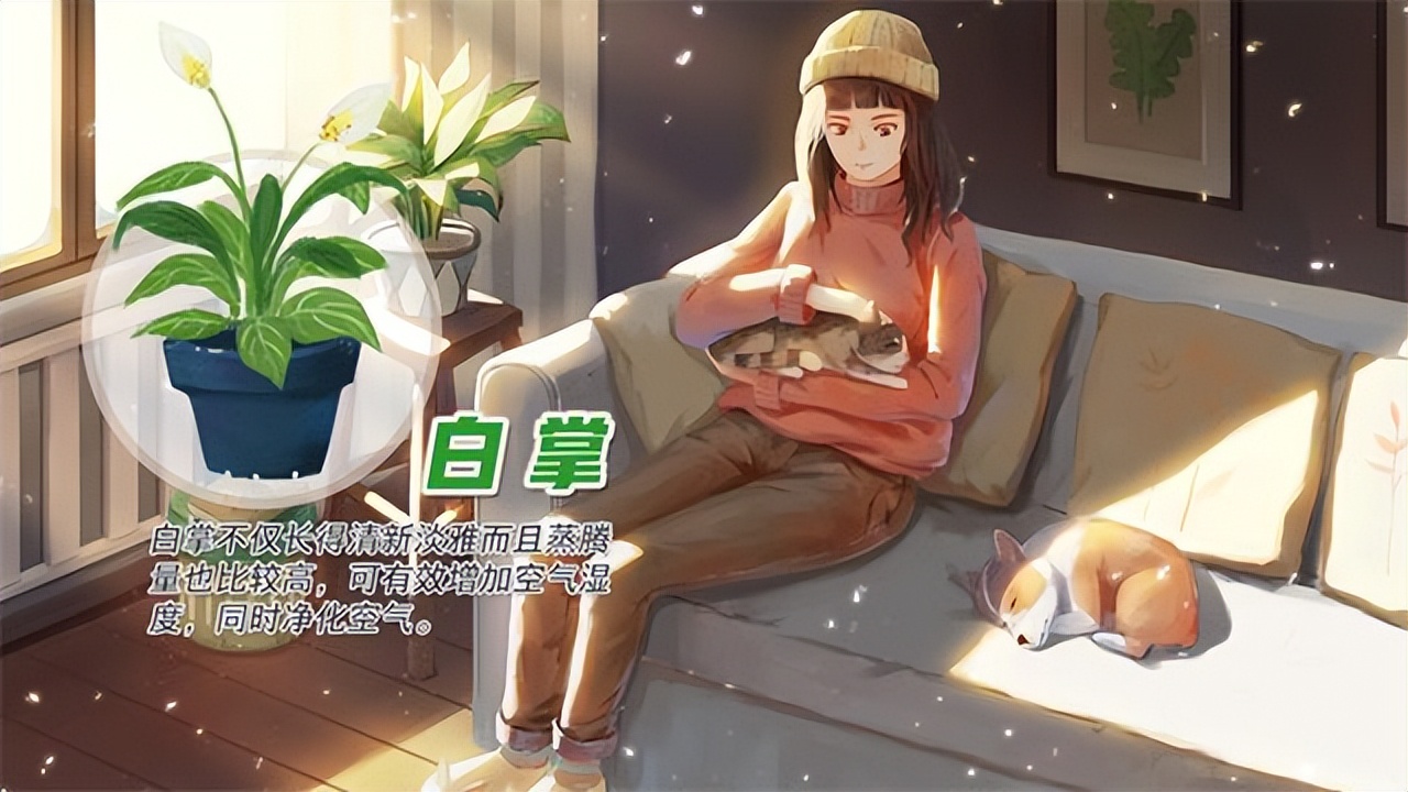 冬季天气干燥房间保湿,冬季室内干燥如何保湿小窍门