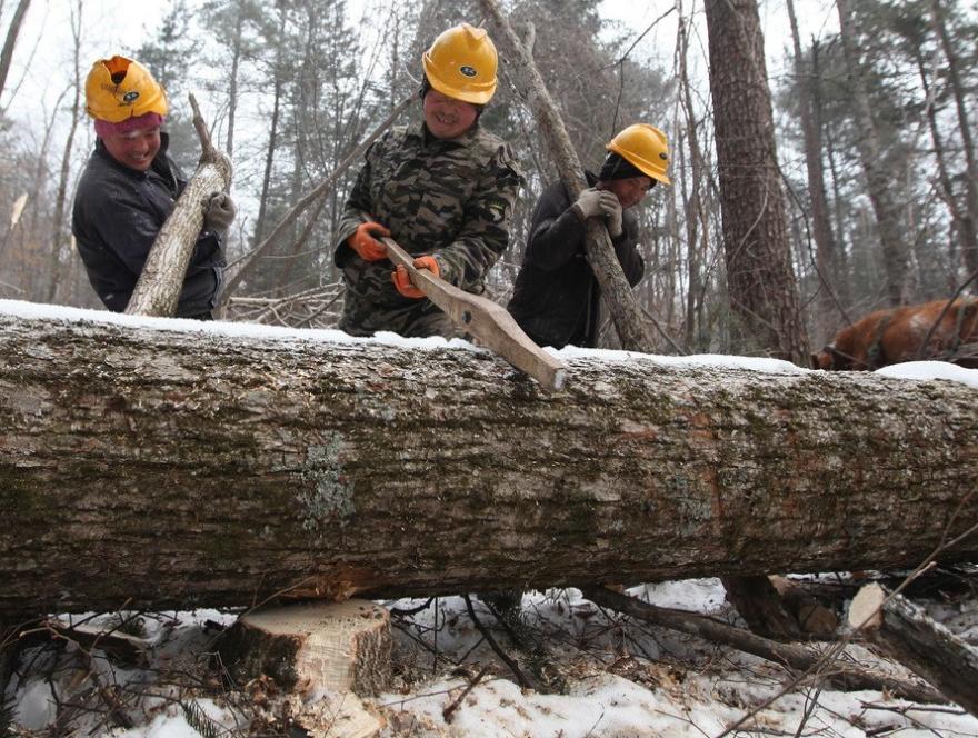 十大最危险的高薪工作,盘点全球最危险6大高薪工作