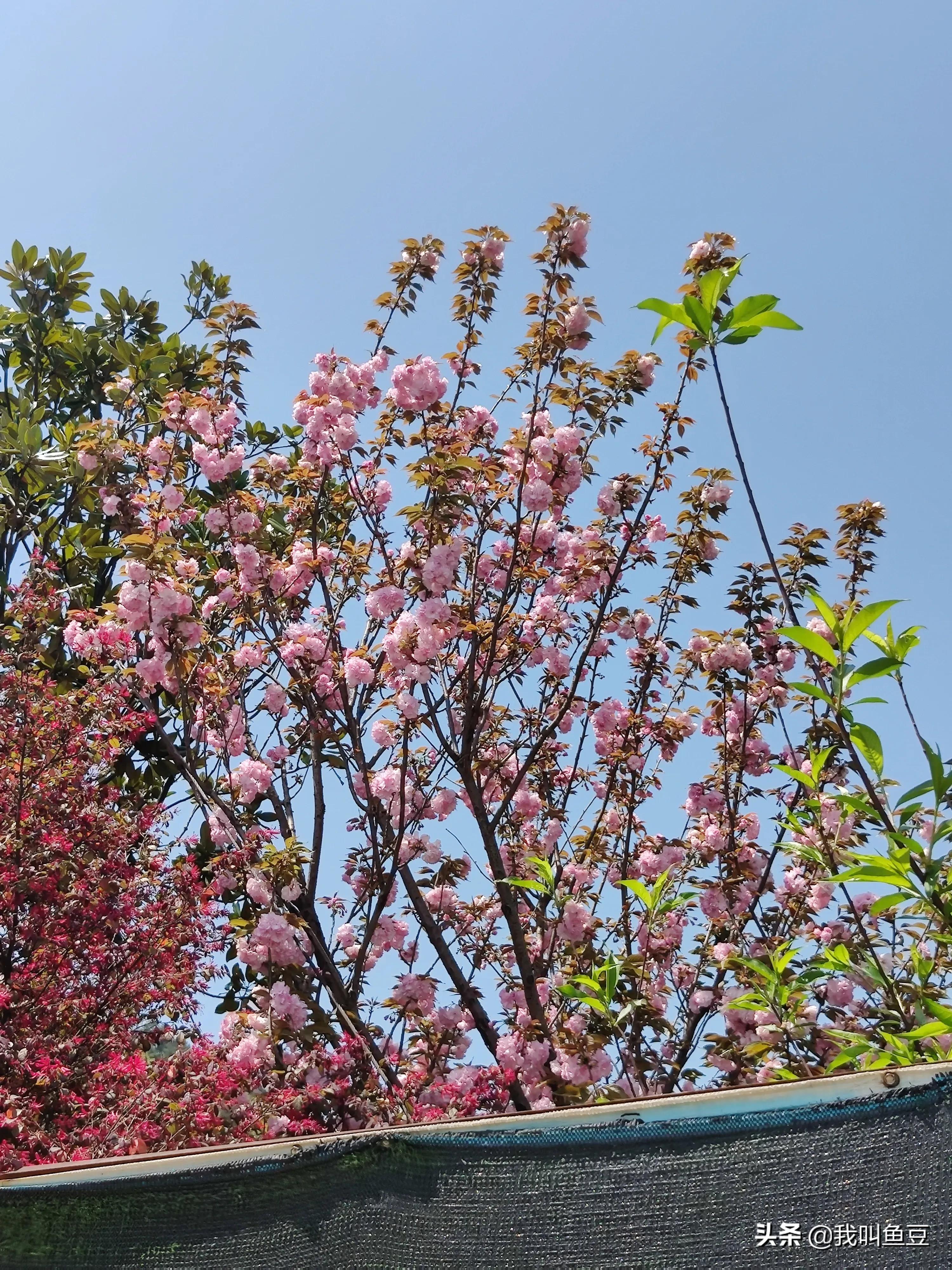 事业单位第一天上班注意事项,第一天上班需要注意什么冬季