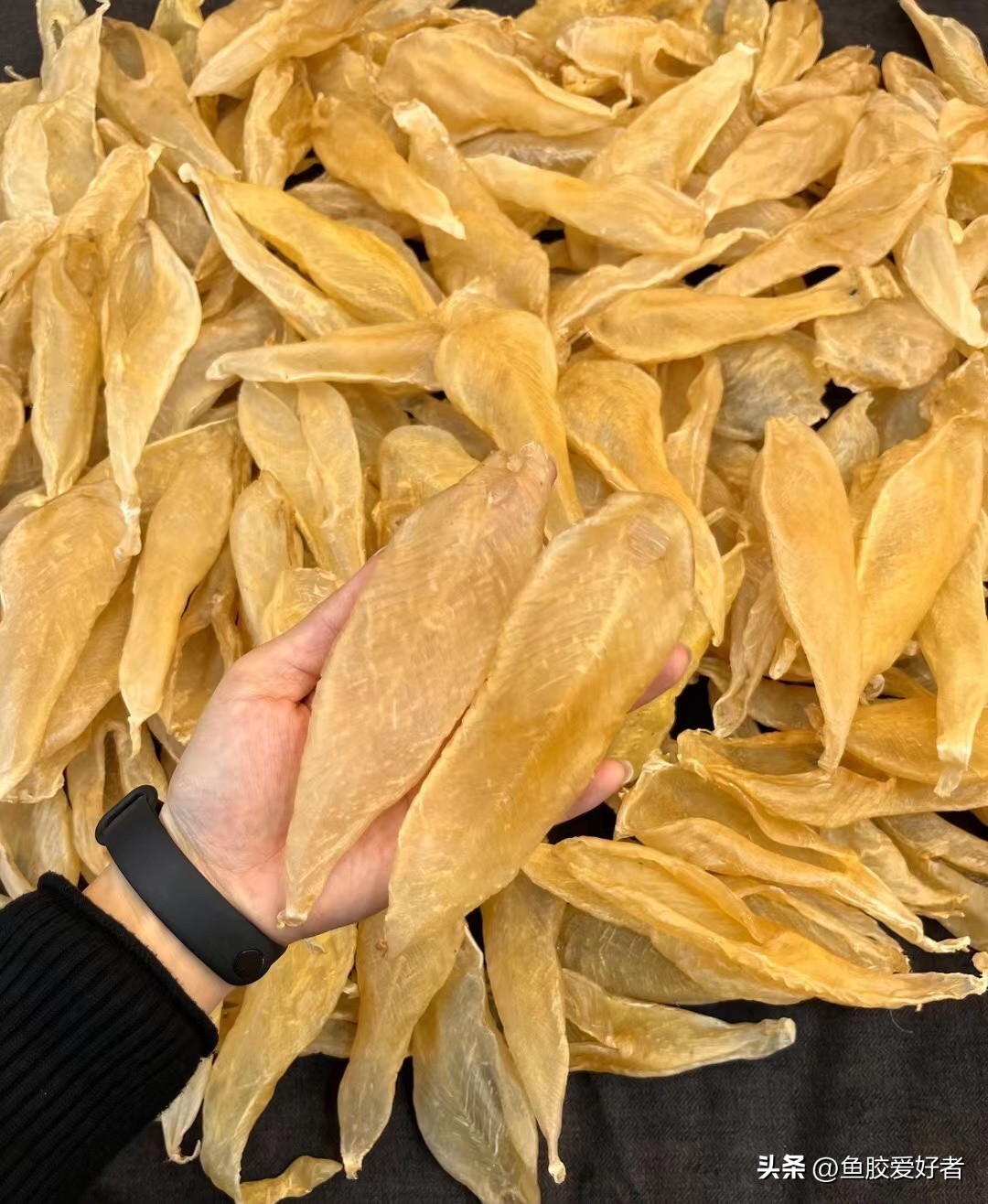 鱼胶哪种最适合普通人吃最亲民,科普鱼胶营养价值