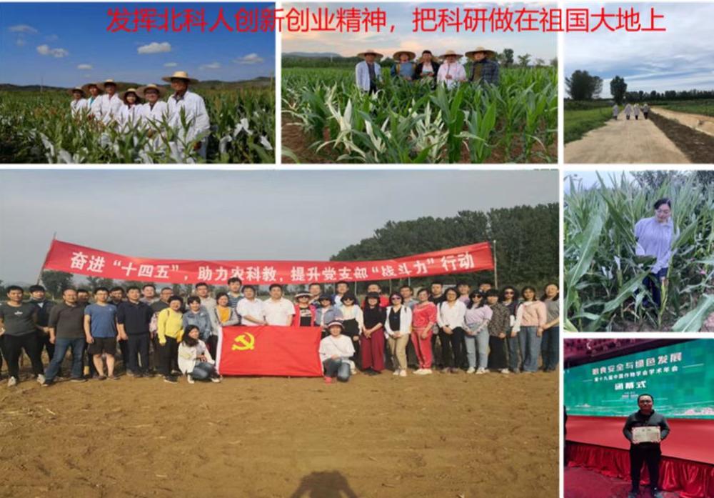 喜报多人获奖,获奖喜报全部