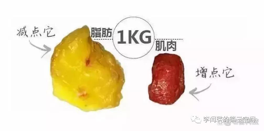 教你看懂检测报告,看懂体测报告中的骨骼肌与体脂