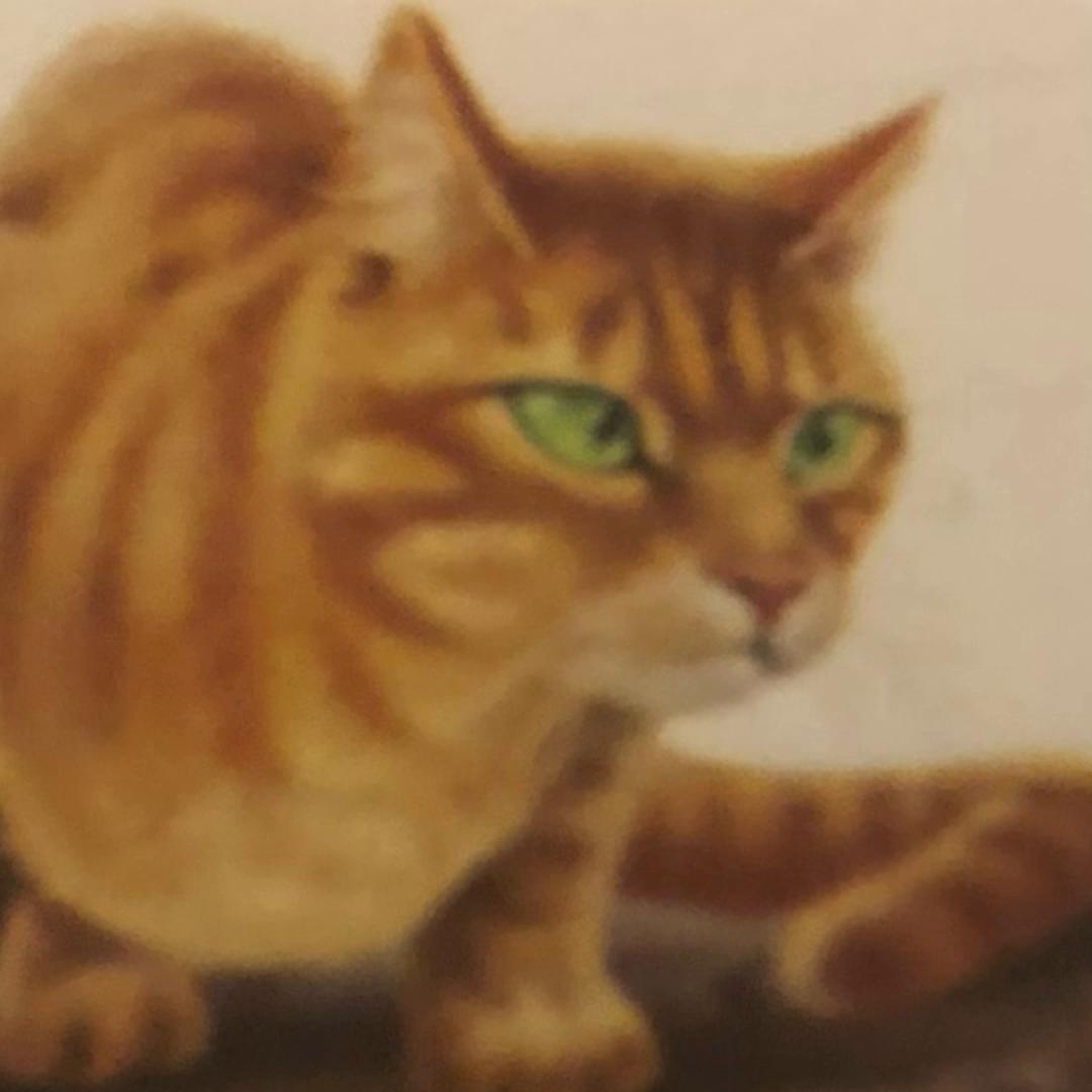 丫头看完了七部《猫武士》，等不到更新，自己写起了第八部...