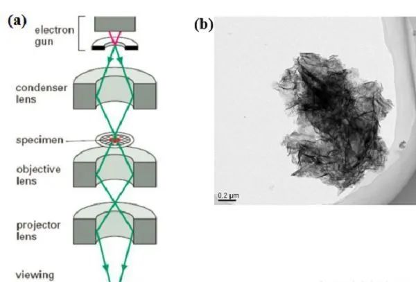 锂离子电池正极材料失效分析,锂离子电池热分析