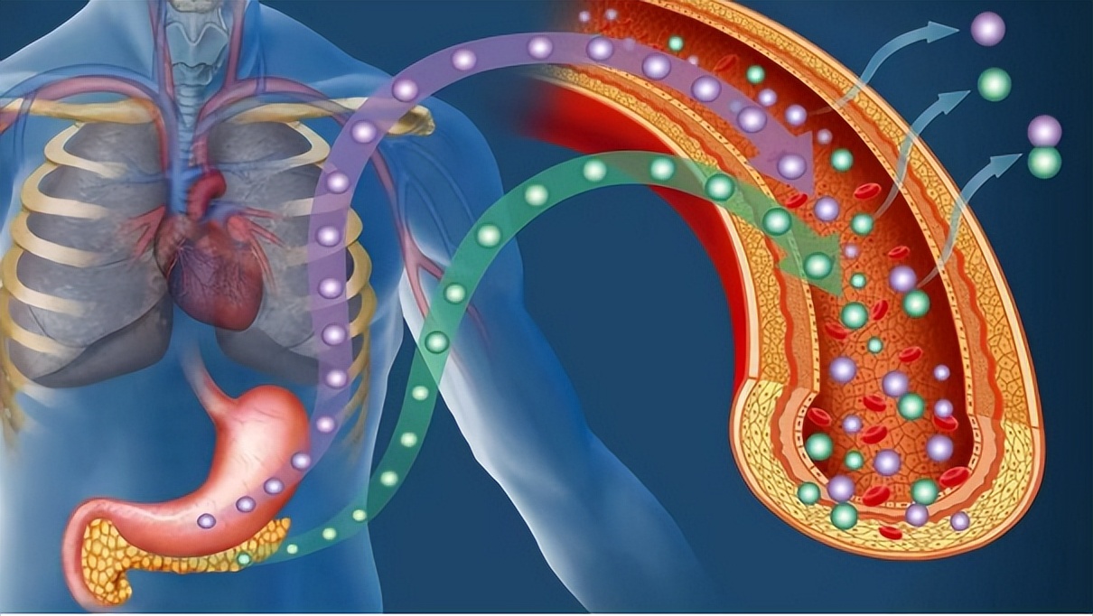 一饿就心慌手抖是什么原因引起的,糖尿病人一饿就心慌浑身无力手抖