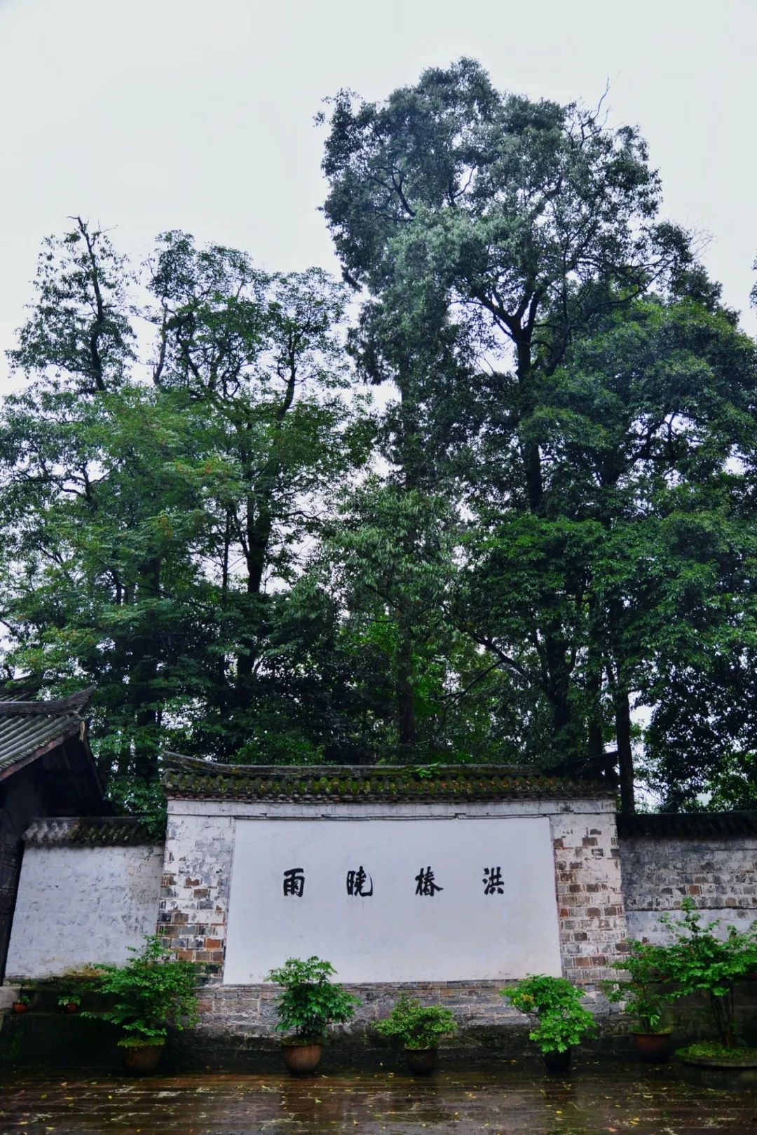 不上峨眉山自驾一日游最佳攻略,峨眉山全程不用步行攻略