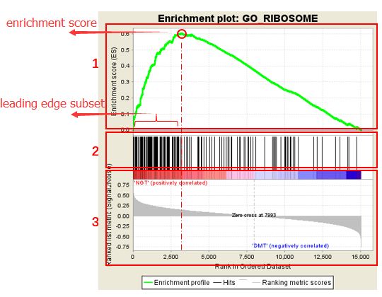 如何理解gsea,gsea安装使用教程
