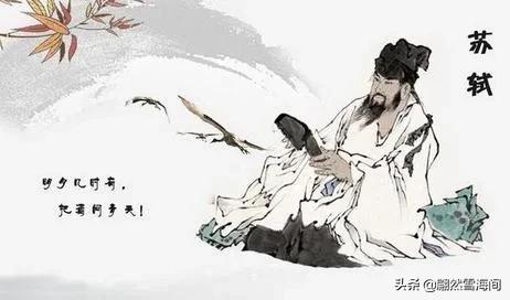 苏轼最旷达的一首诗,苏轼的傲骨之诗