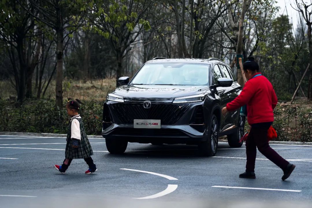 车的安全性看什么标准,验证新车注意什么